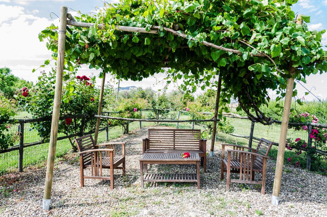 Agriturismo Il Roseto Marina di Grosseto Buitenkant foto